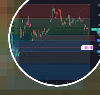 Shibusd crypto